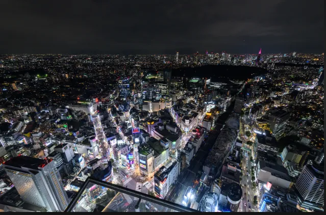 Discovering the Wonders of Tokyo: A 3-Day Adventure for First-Time Travellers wrymk6
